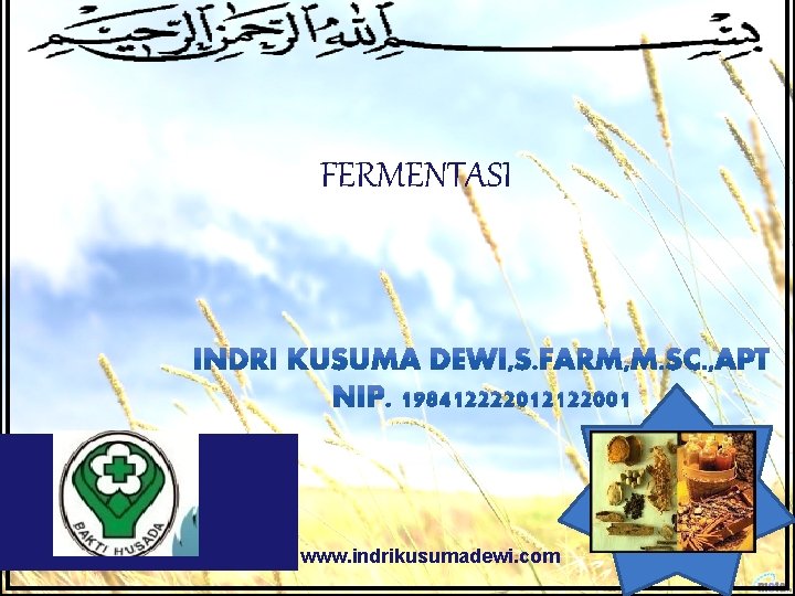 FERMENTASI LOGO www. indrikusumadewi. com 