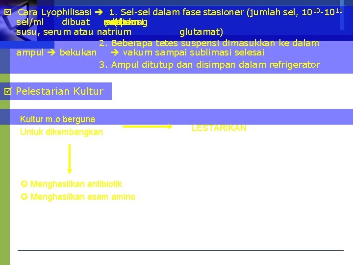  Cara Lyophilisasi 1. Sel-sel dalam fase stasioner (jumlah sel, 1010 -1011 sel/ml dibuat