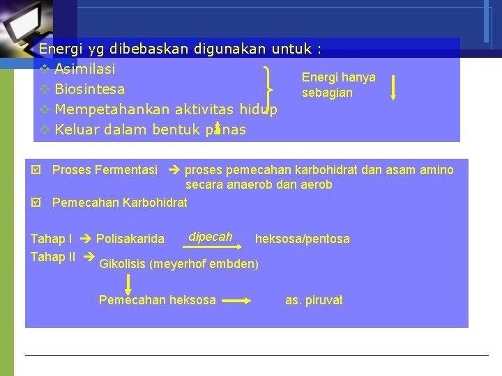 Energi yg dibebaskan digunakan untuk : v Asimilasi Energi hanya v Biosintesa sebagian v