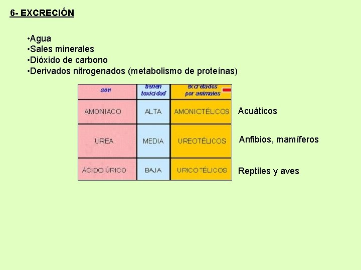 6 - EXCRECIÓN • Agua • Sales minerales • Dióxido de carbono • Derivados