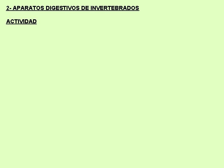 2 - APARATOS DIGESTIVOS DE INVERTEBRADOS ACTIVIDAD 