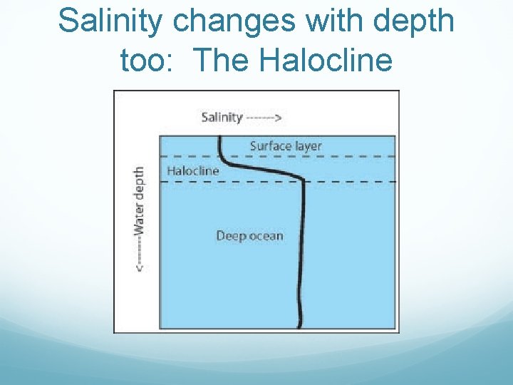 Salinity changes with depth too: The Halocline 