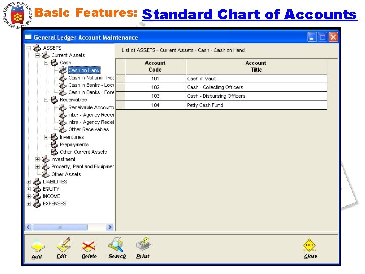Basic Features: Standard Chart of Accounts 