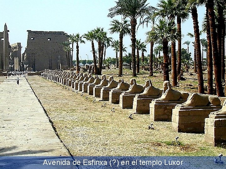 Avenida de Esfinxa (? ) en el templo Luxor 
