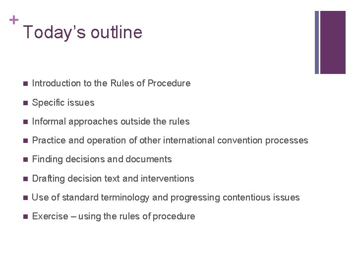 + Today’s outline n Introduction to the Rules of Procedure n Specific issues n