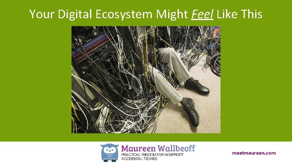 Your Digital Ecosystem Might Feel Like This meetmaureen. com 