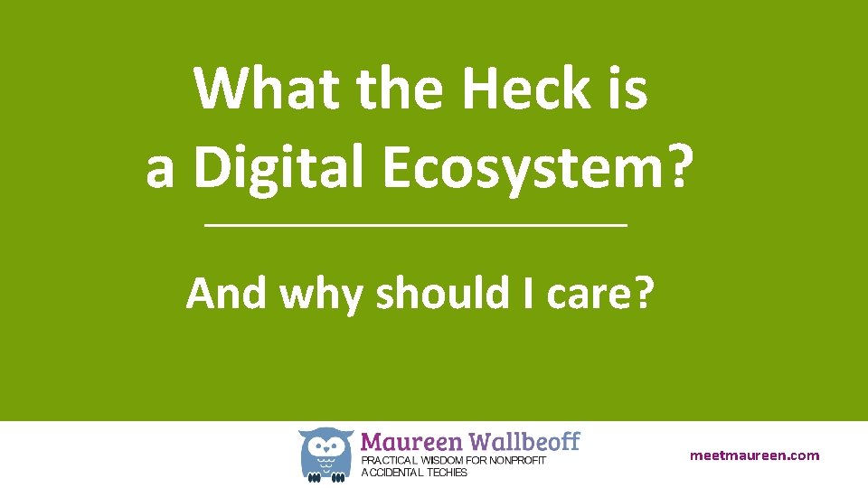 What the Heck is a Digital Ecosystem? And why should I care? meetmaureen. com