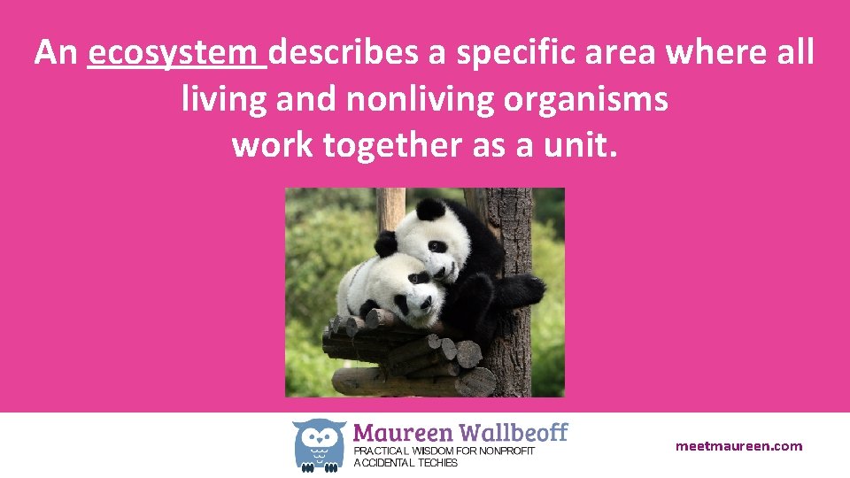 An ecosystem describes a specific area where all living and nonliving organisms work together