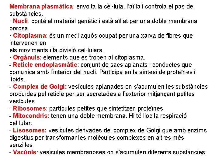 Membrana plasmàtica: envolta la cèl·lula, l’aïlla i controla el pas de substàncies. · Nucli: