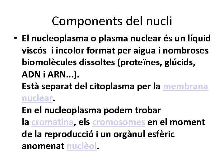 Components del nucli • El nucleoplasma o plasma nuclear és un líquid viscós i