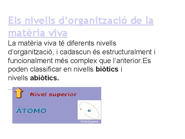 Els nivells d’organització de la matèria viva La matèria viva té diferents nivells d’organització,