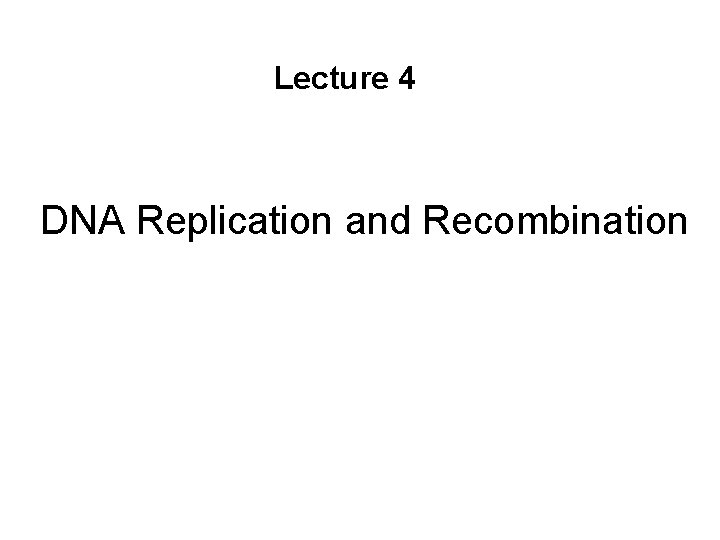 Lecture 4 • DNA Replication and Recombination 