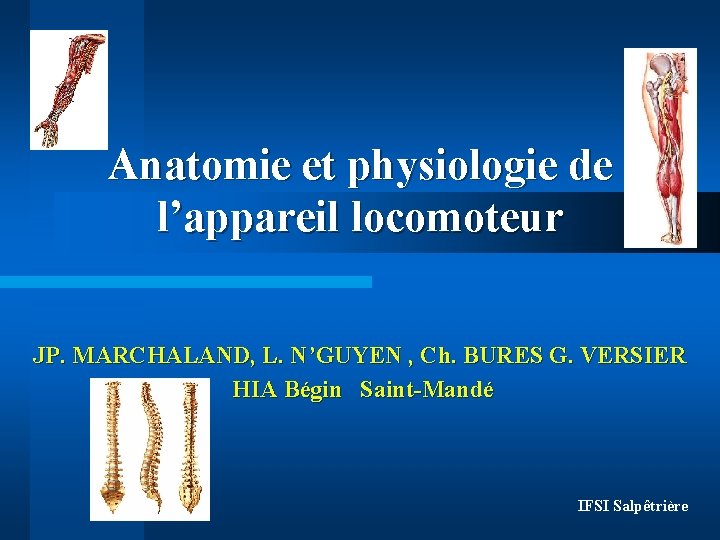 Anatomie et physiologie de l’appareil locomoteur JP. MARCHALAND, L. N’GUYEN , Ch. BURES G.