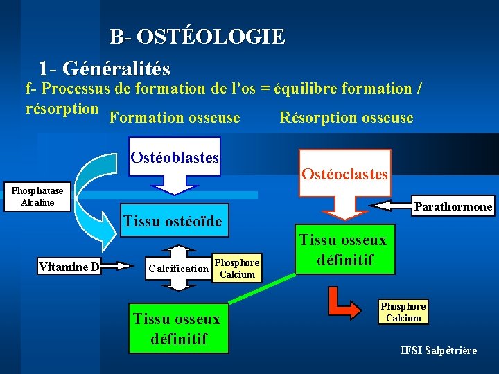 B- OSTÉOLOGIE 1 - Généralités f- Processus de formation de l’os = équilibre formation