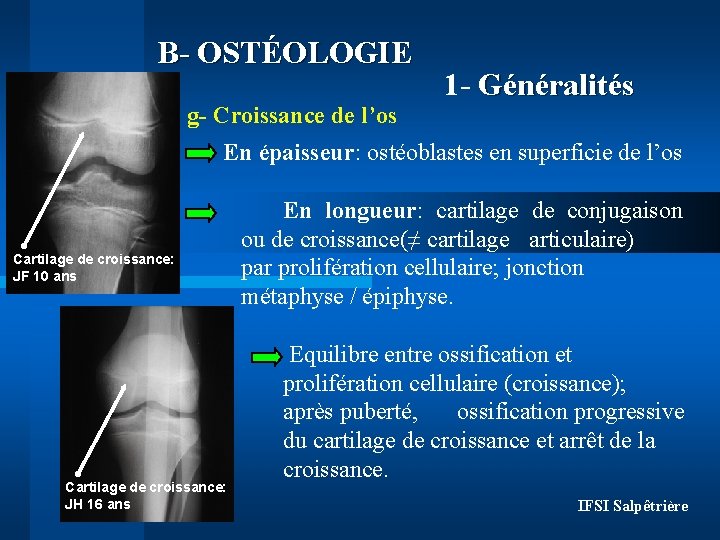 B- OSTÉOLOGIE g- Croissance de l’os 1 - Généralités En épaisseur: ostéoblastes en superficie