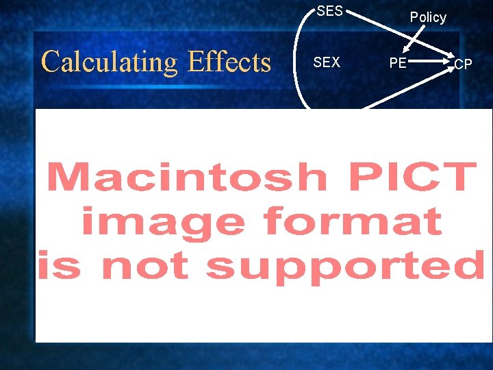 SES Calculating Effects SEX IQ Policy PE CP 