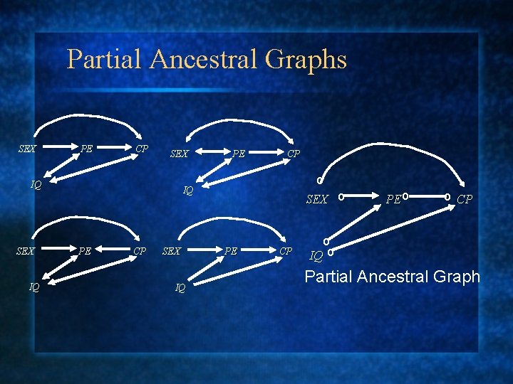 Partial Ancestral Graphs SEX PE CP SEX IQ PE CP o IQ PE CP