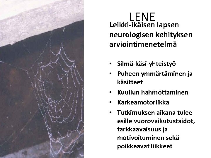 LENE Leikki-ikäisen lapsen neurologisen kehityksen arviointimenetelmä • Silmä-käsi-yhteistyö • Puheen ymmärtäminen ja käsitteet •