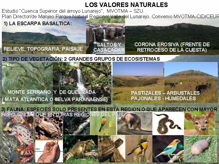 LOS VALORES NATURALES Estudio “Cuenca Superior del arroyo Lunarejo”, MVOTMA – SZU. Plan Director/de LOS VALORES NATURALES Estudio “Cuenca Superior del arroyo Lunarejo”, MVOTMA – SZU. Plan Director/de