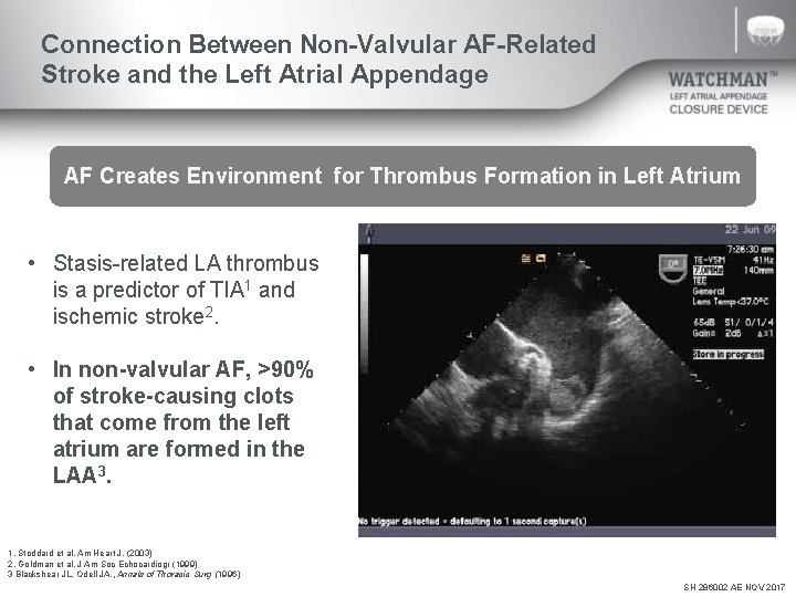 Connection Between Non-Valvular AF-Related Stroke and the Left Atrial Appendage AF Creates Environment for