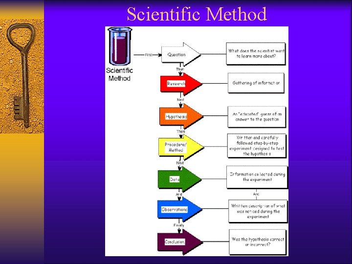 Scientific Method 