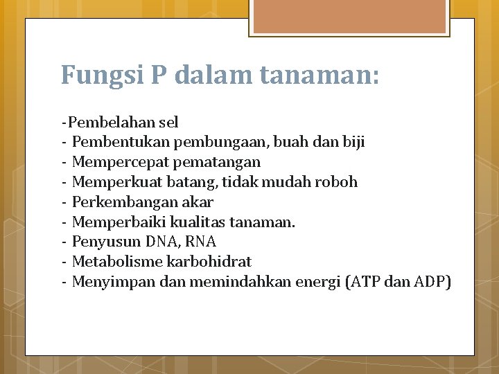 Fungsi P dalam tanaman: -Pembelahan sel - Pembentukan pembungaan, buah dan biji - Mempercepat