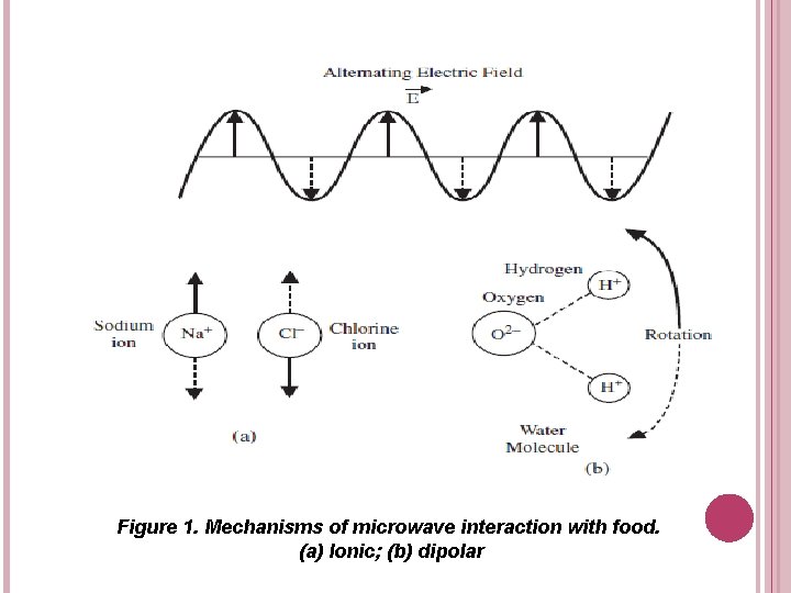 Figure 1. Mechanisms of microwave interaction with food. (a) Ionic; (b) dipolar 