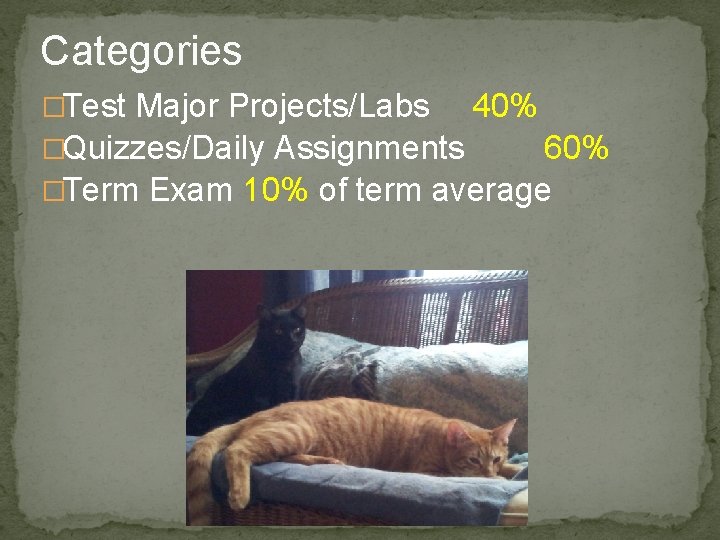 Categories �Test Major Projects/Labs 40% �Quizzes/Daily Assignments 60% �Term Exam 10% of term average