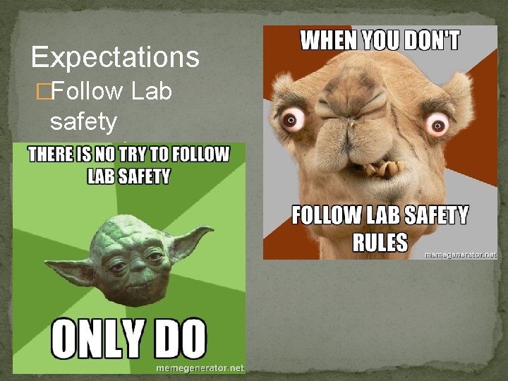 Expectations �Follow Lab safety procedures 