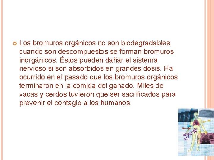 Los bromuros orgánicos no son biodegradables; cuando son descompuestos se forman bromuros inorgánicos. Los bromuros orgánicos no son biodegradables; cuando son descompuestos se forman bromuros inorgánicos.