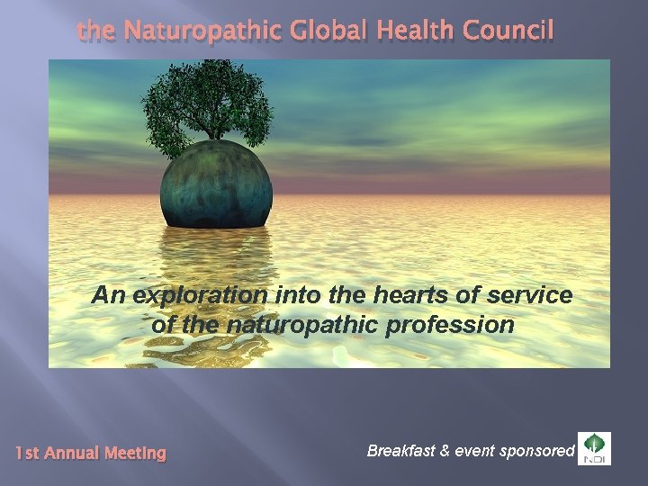 the Naturopathic Global Health Council An exploration into the hearts of service of the