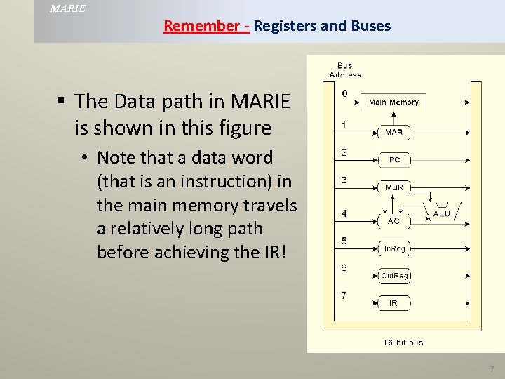 MARIE Remember - Registers and Buses § The Data path in MARIE is shown MARIE Remember - Registers and Buses § The Data path in MARIE is shown