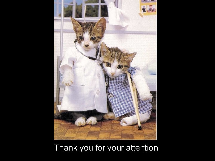 Thank you for your attention 