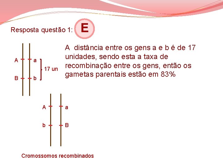Resposta questão 1: A a 17 un B b E A distância entre os Resposta questão 1: A a 17 un B b E A distância entre os