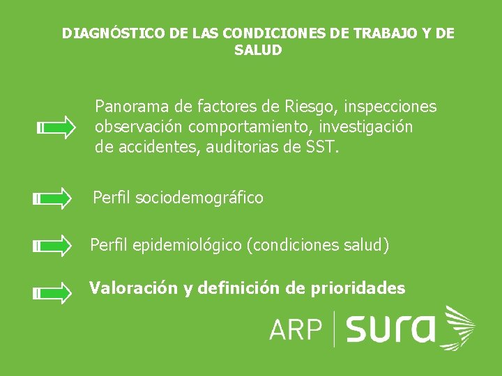 DIAGNÓSTICO DE LAS CONDICIONES DE TRABAJO Y DE SALUD Panorama de factores de Riesgo,