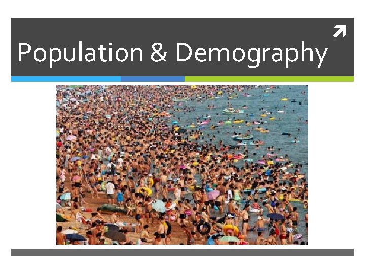 Population & Demography 