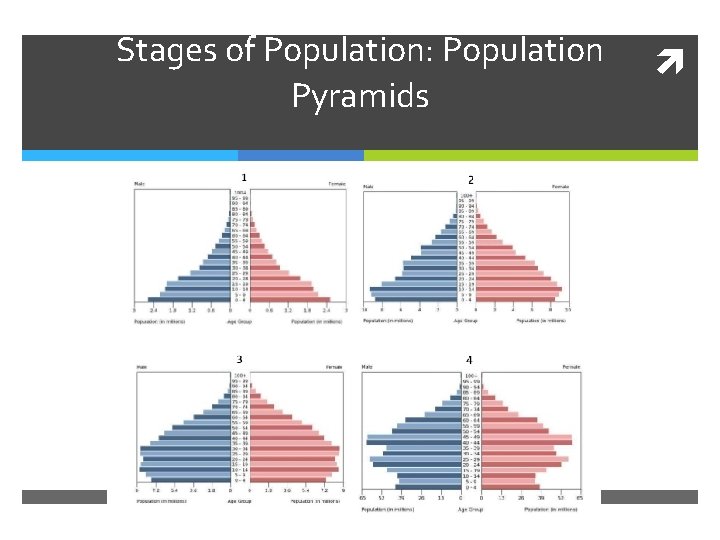 Stages of Population: Population Pyramids 