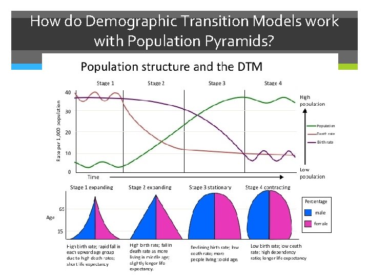 How do Demographic Transition Models work with Population Pyramids? 