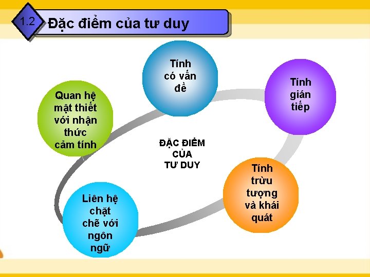 1. 2 Đặc điểm của tư duy Quan hệ mật thiết với nhận thức