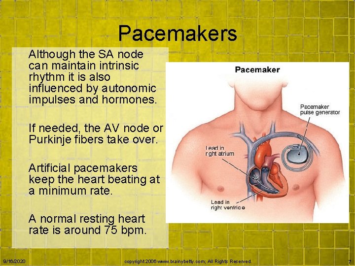 Pacemakers Although the SA node can maintain intrinsic rhythm it is also influenced by