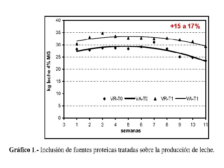 +15 a 17% 