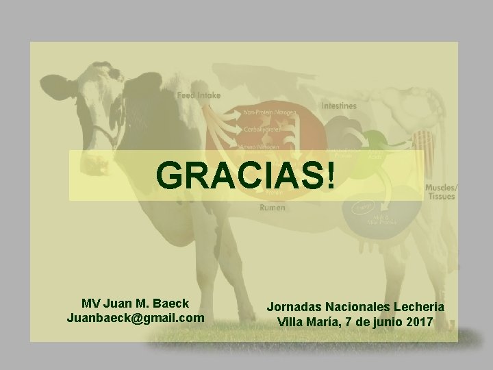 GRACIAS! MV Juan M. Baeck Juanbaeck@gmail. com Jornadas Nacionales Lecheria Villa María, 7 de