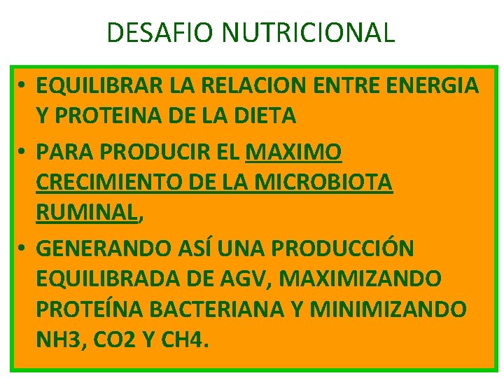 DESAFIO NUTRICIONAL • EQUILIBRAR LA RELACION ENTRE ENERGIA Y PROTEINA DE LA DIETA •