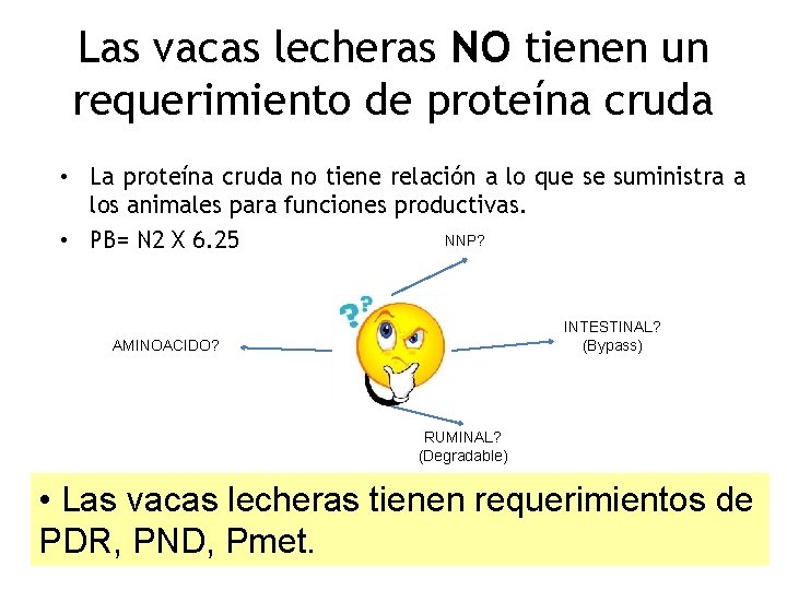 Las vacas lecheras NO tienen un requerimiento de proteína cruda • La proteína cruda