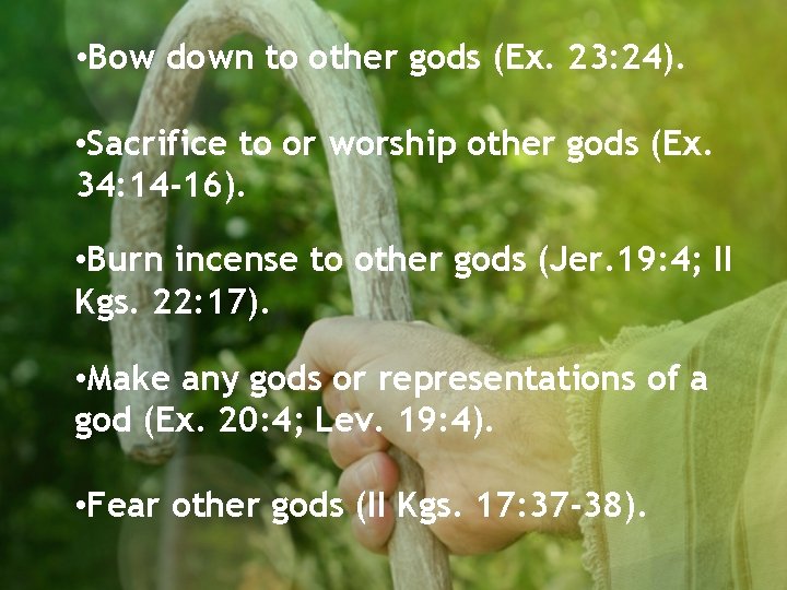  • Bow down to other gods (Ex. 23: 24). • Sacrifice to or