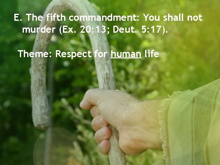 E. The fifth commandment: You shall not murder (Ex. 20: 13; Deut. 5: 17).