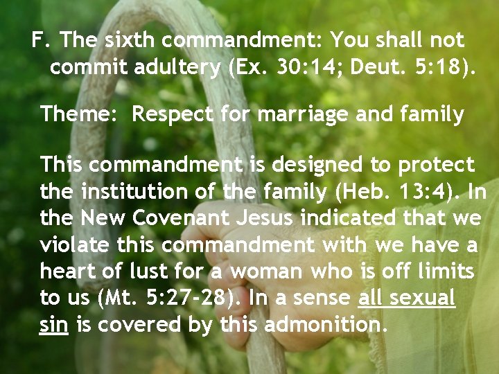 F. The sixth commandment: You shall not commit adultery (Ex. 30: 14; Deut. 5: