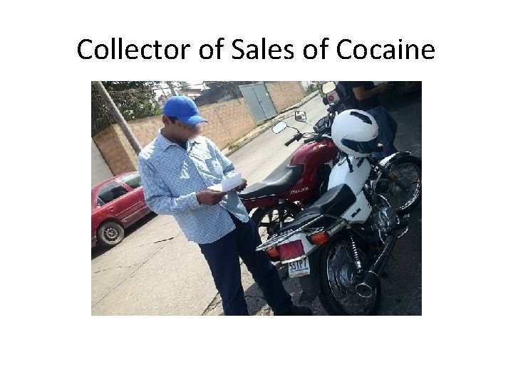 Collector of Sales of Cocaine 