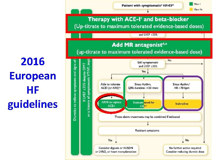 2016 European HF guidelines 