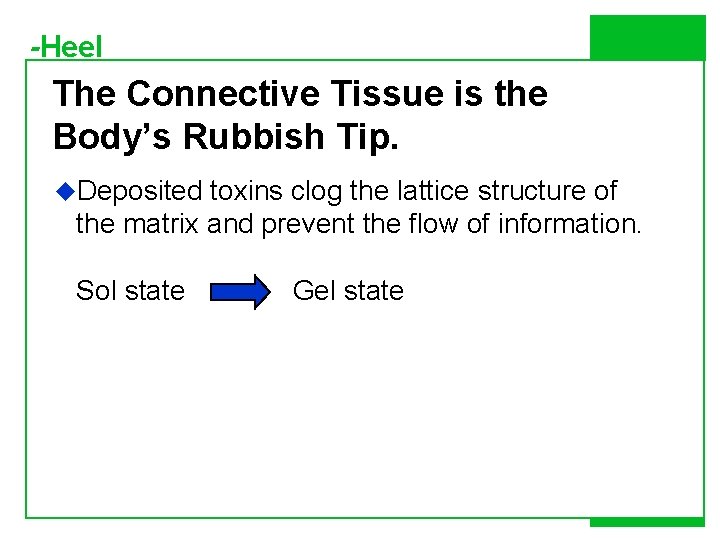 -Heel The Connective Tissue is the Body’s Rubbish Tip. u. Deposited toxins clog the